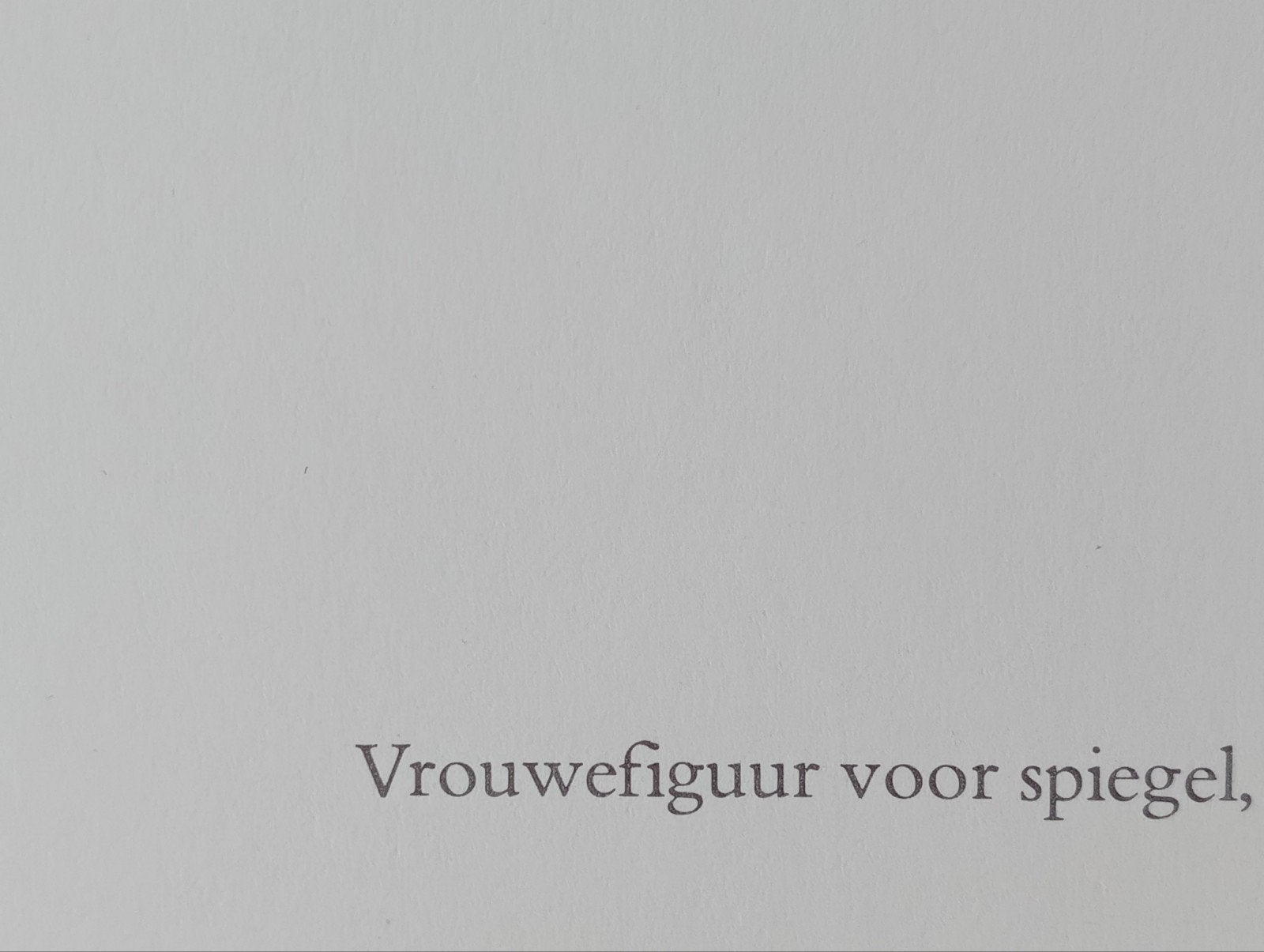 Sierk Schröder offset prent 'Vrouwenfiguur voor spiegel', Ophalen of Verzenden