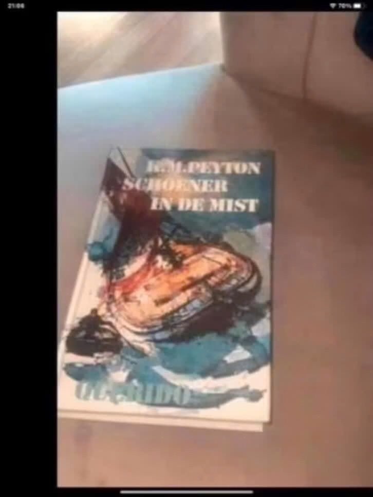 Schoener in de Mist - R.M. Peyton (Boek), Gelezen, Overige onderwerpen, R.M. Peyton, Ophalen of Verzenden