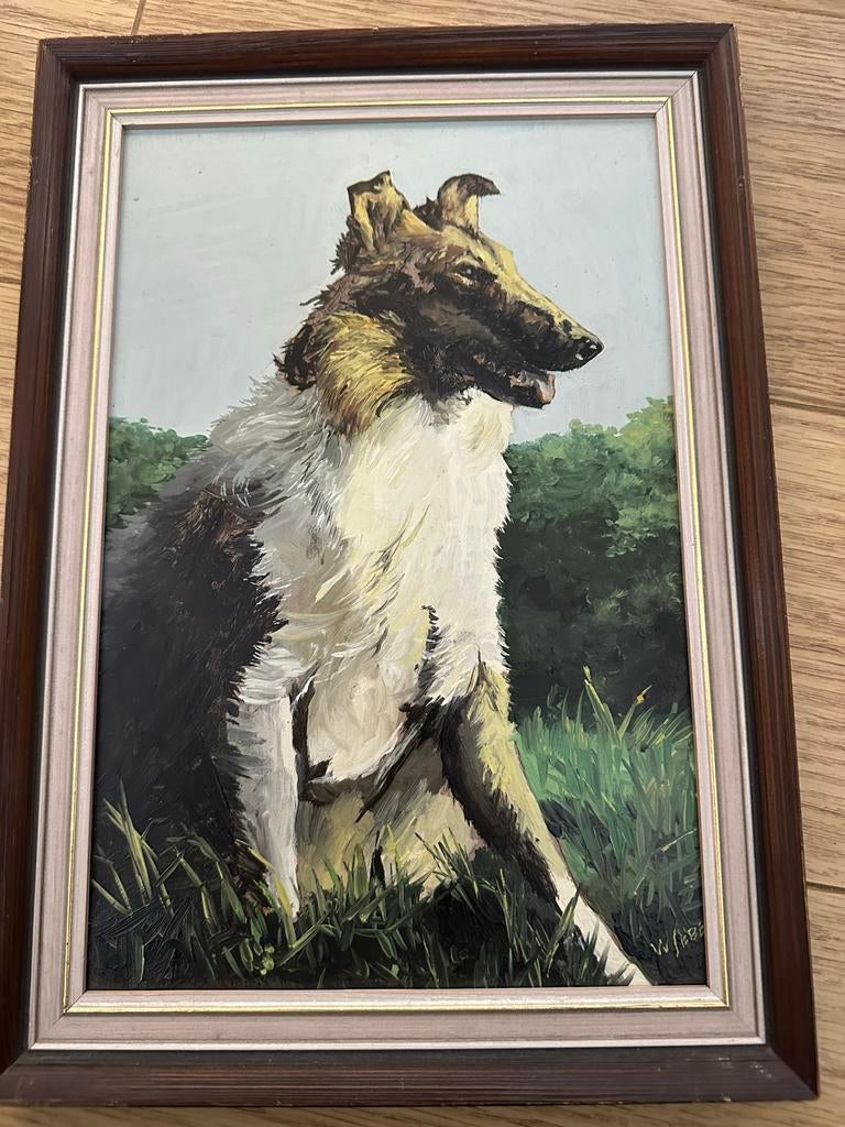 Schilderij Schotse Collie - Gesigneerd V.V. Sebe, Ophalen of Verzenden