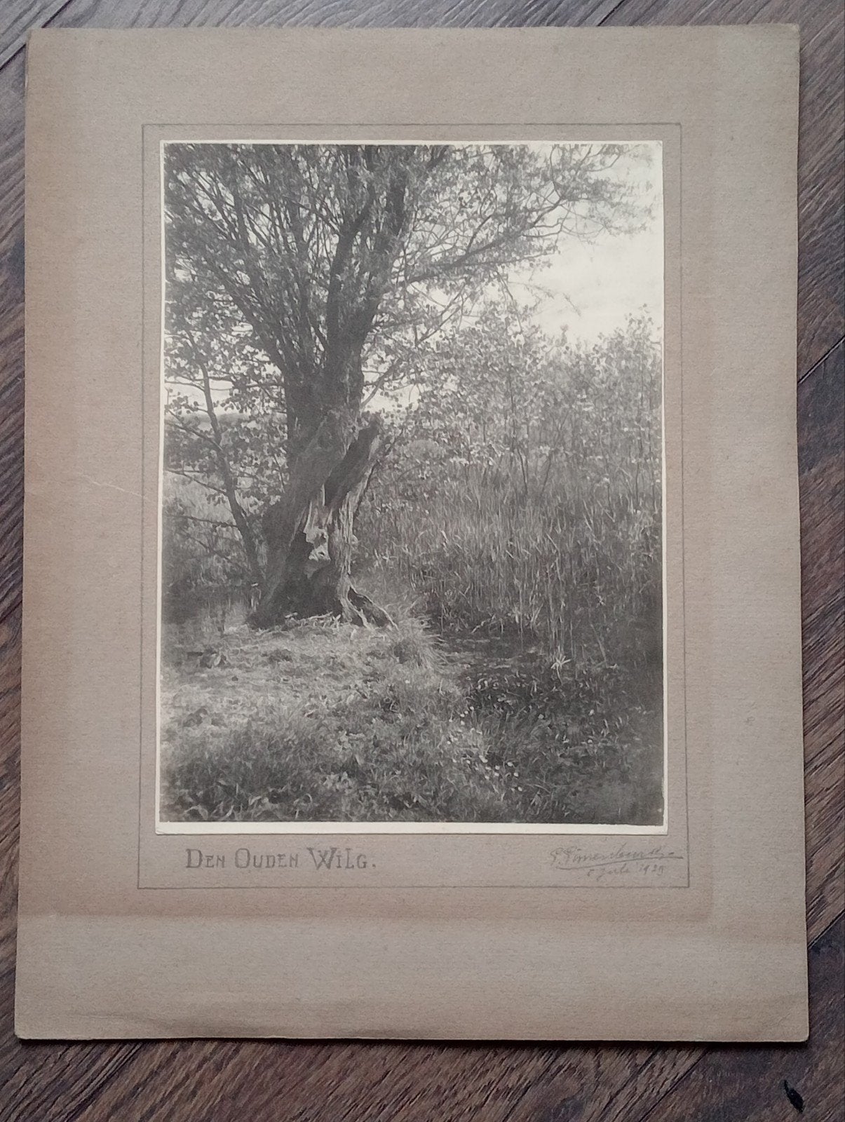 Piet Pijnenburg De Oude Wilg 1929, Ophalen of Verzenden