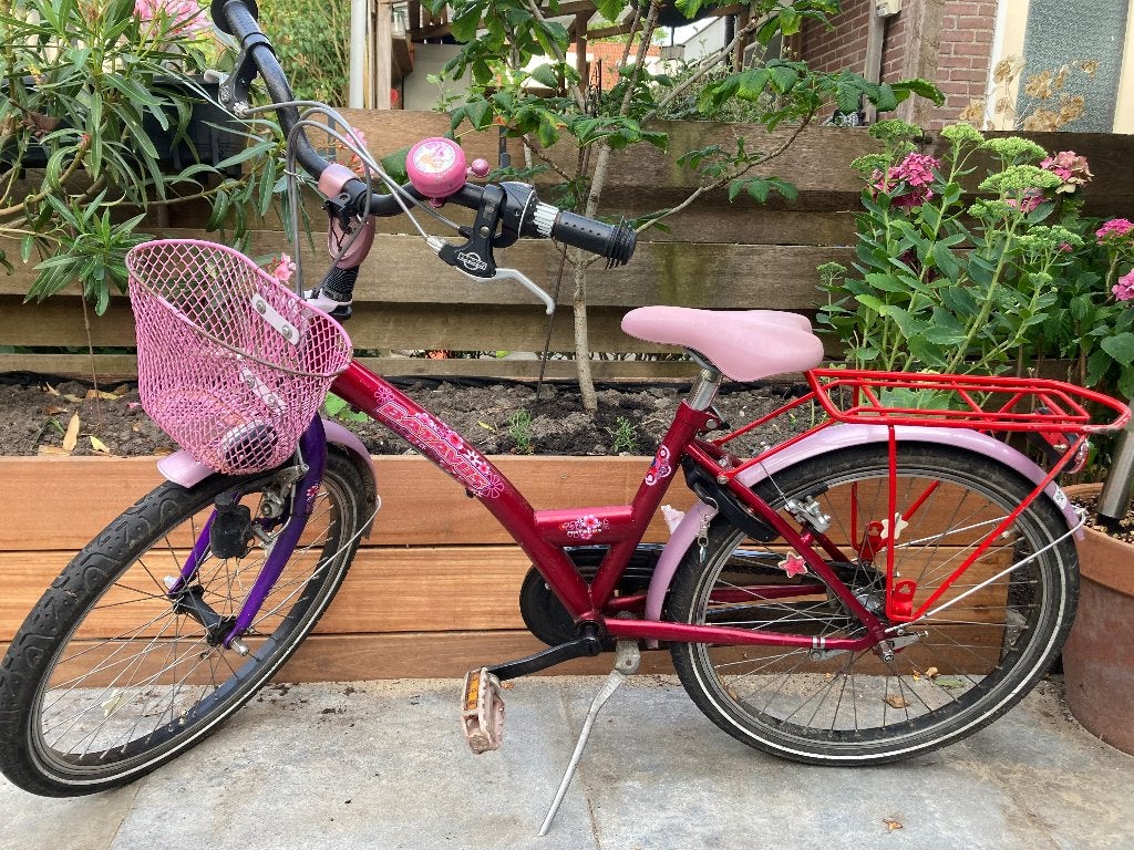 Meisjes fiets roze Batavus, Ophalen, Terugtraprem, 22 inch, Gebruikt