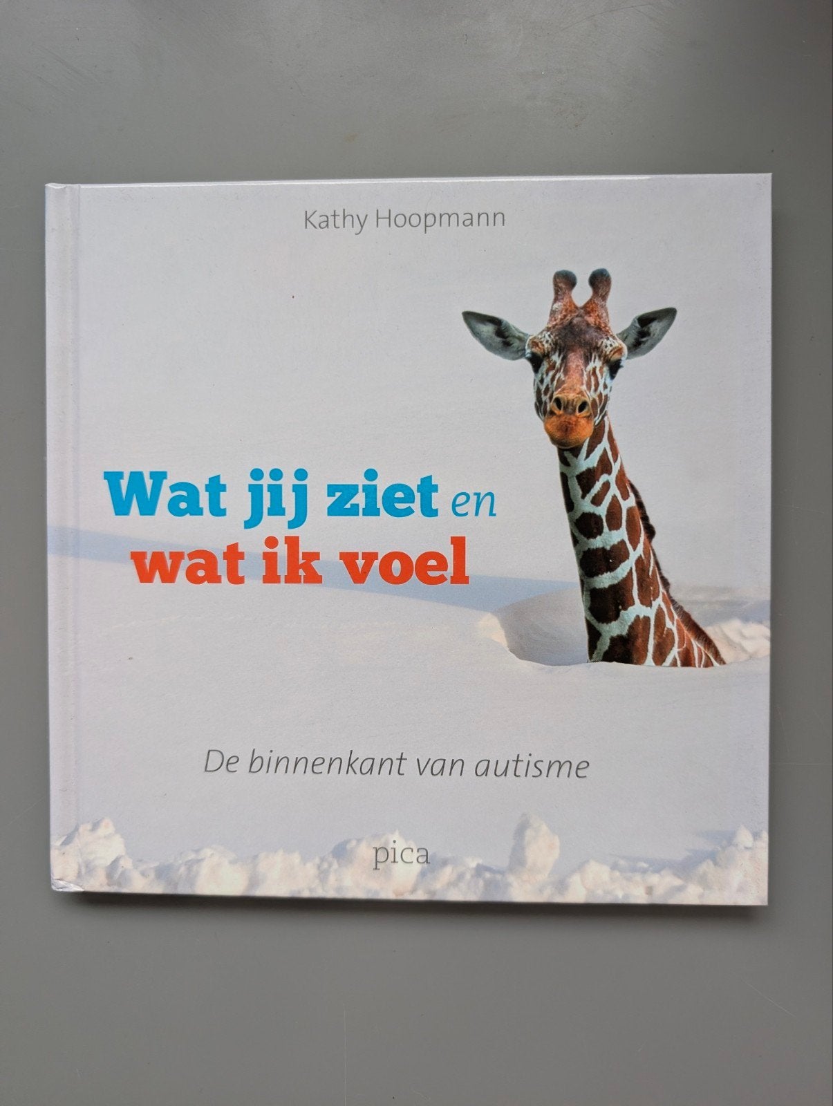 Wat jij ziet en wat ik voel – Kathy Hoopmann | Autisme, Ophalen of Verzenden, Zo goed als nieuw, Overige niveaus, Kathy Hoopmann