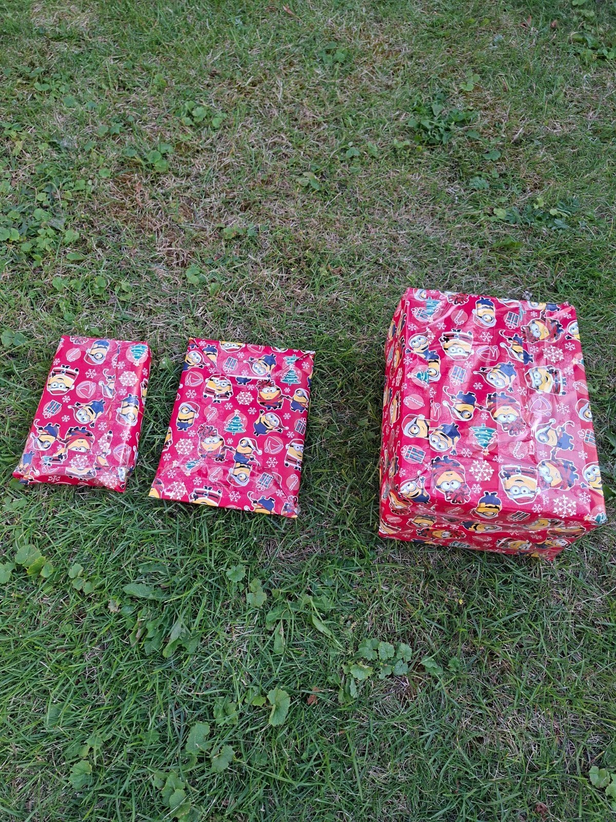 Mystery Pokemon Box!, Ophalen