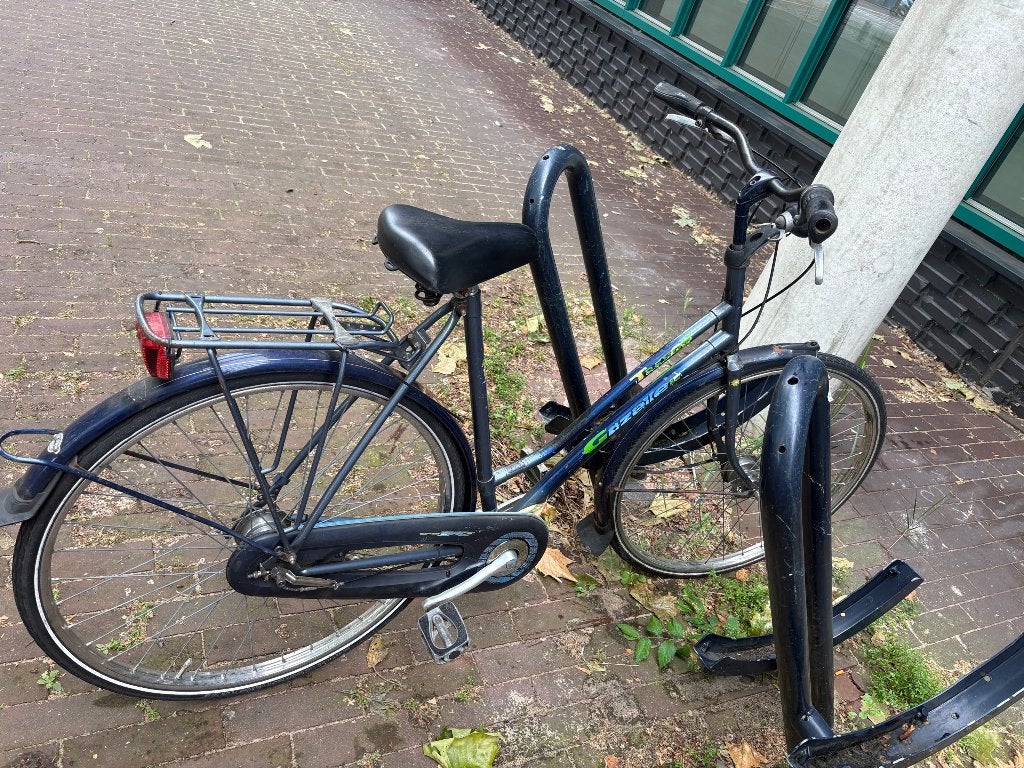 Omafiets, Ophalen, Velgrem, Handrem, Gazelle