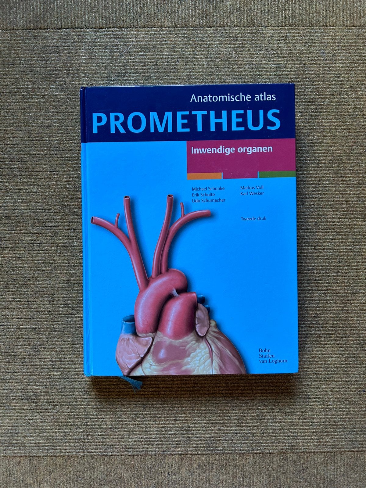 Prometheus - Inwendige organen NIEUWstaat, Ophalen of Verzenden, Zo goed als nieuw, Michael Schünke; Erik Schulte; Udo Schumacher