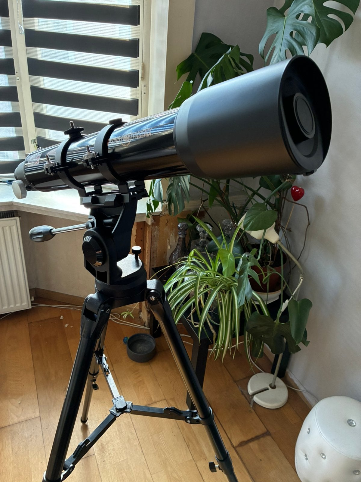 Rising Phoenix / Black, Lenzentelescoop (refractor), Ophalen of Verzenden, Minder dan 80 mm, Nieuw