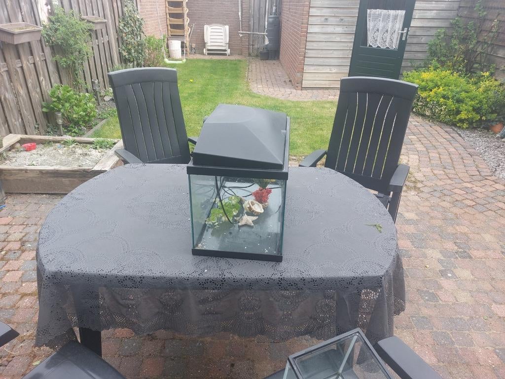 Leuk aquarium 60x30x30, Dieren en Toebehoren, Vissen | Aquaria en Toebehoren, Ophalen of Verzenden
