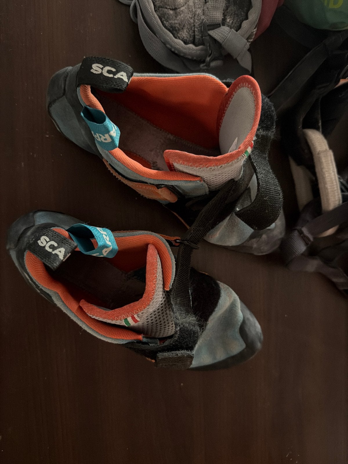 Klimuitrusting: Scarpa klimschoenen, Edelrid klimgordel, Ophalen of Verzenden, Gebruikt, Klimsportschoenen