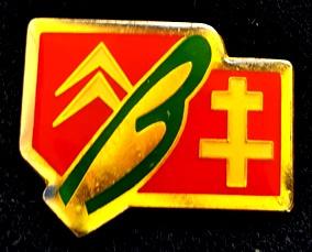 Citroën Lorainne pin, Verzenden, Nieuw, Transport, Speldje of Pin