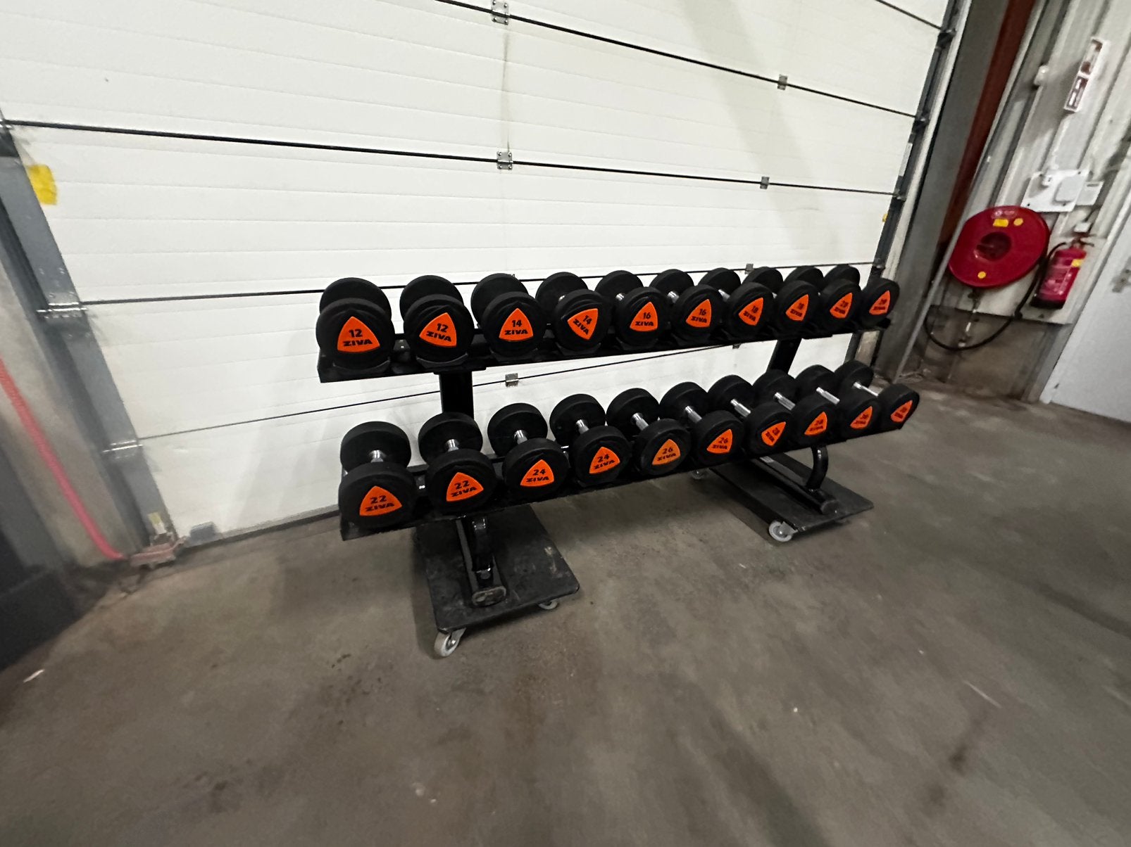 Ziva Rubberen Pu Dumbells 12kg t/m 30kg + life Fitness Rek, Ophalen, Zo goed als nieuw, Dumbbell