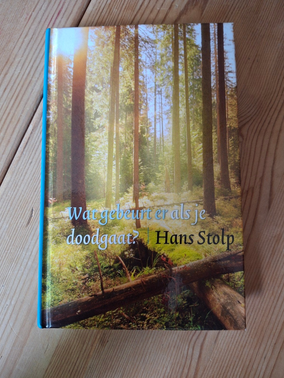 Hans Stolp - Wat gebeurt er als je dood gaat?, Boeken, Achtergrond en Informatie, Spiritualiteit algemeen, Ophalen of Verzenden