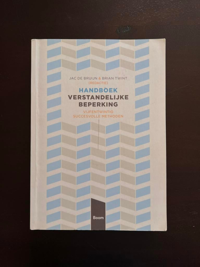 Handboek verstandelijke beperking, Ophalen of Verzenden, Zo goed als nieuw
