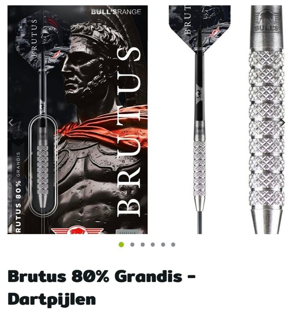 Gezocht, Sport en Fitness, Darts, Ophalen of Verzenden, Pijlen