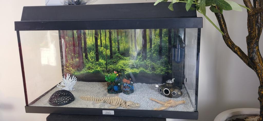 Juwel Aquarium 60x30x38 Compleet, Dieren en Toebehoren, Vissen | Aquaria en Toebehoren, Ophalen, Gebruikt, Leeg aquarium, Verwarming