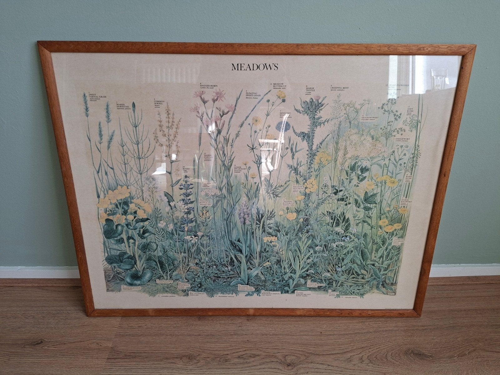 Vintage botanische poster 'Meadows' in houten lijst, Ophalen, Gebruikt, Print