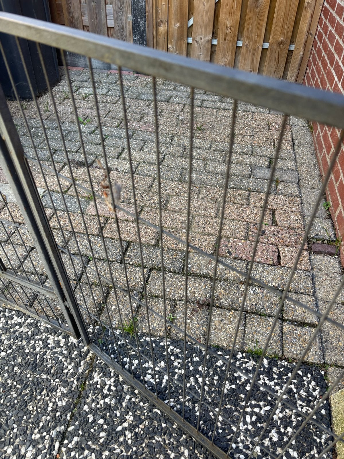 Metalen hekwerk met 2 poortjes 14  stuks 80/75, Ophalen, Met poort, Gebruikt, Tuinhek