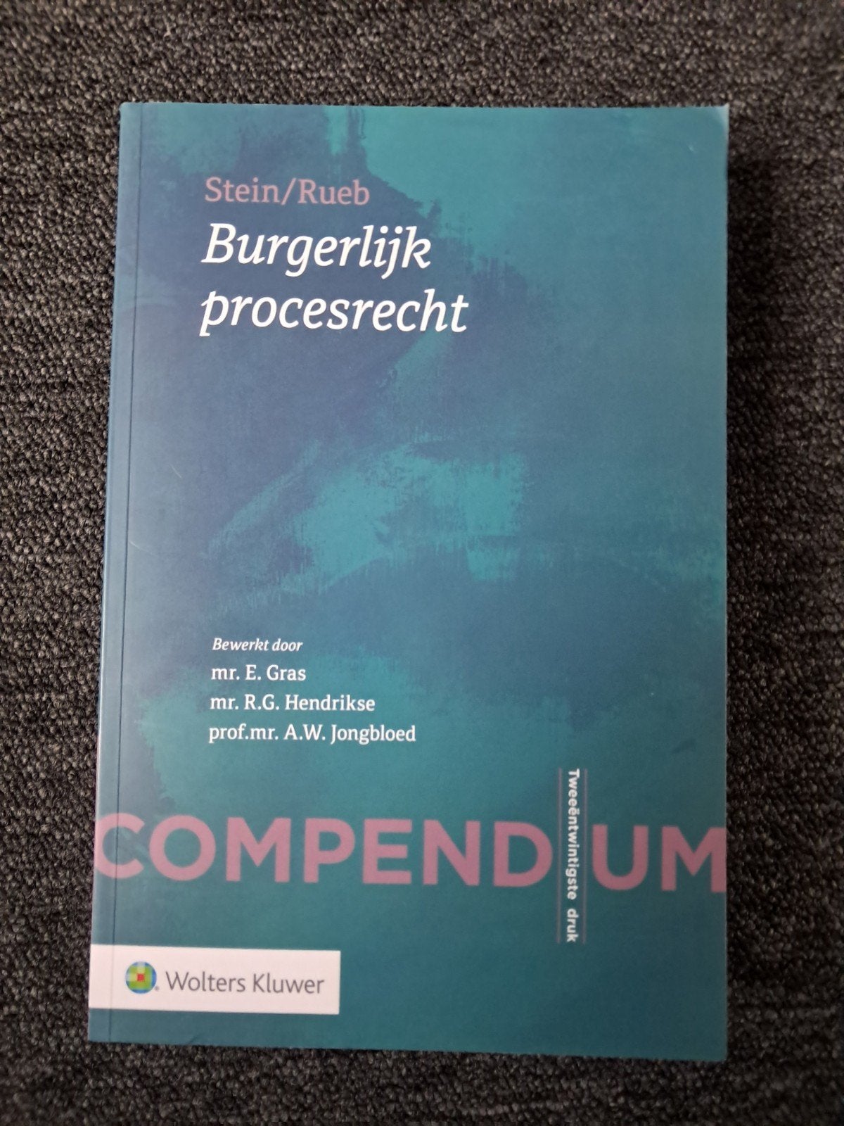 Compendium Burgerlijk procesrecht - Stein/Rueb, Boeken, Studieboeken en Cursussen, Ophalen of Verzenden, Gamma, Stein/Rueb, WO