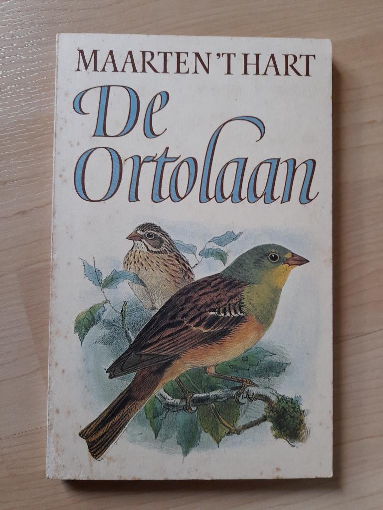 DE ORTOLAAN Maarten 't Hart, Ophalen of Verzenden, Gelezen, Nederland