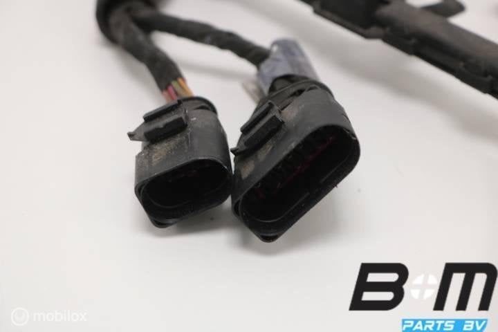 Kabelset verstuivers Audi A3 8V 06L971627B, Gebruikt