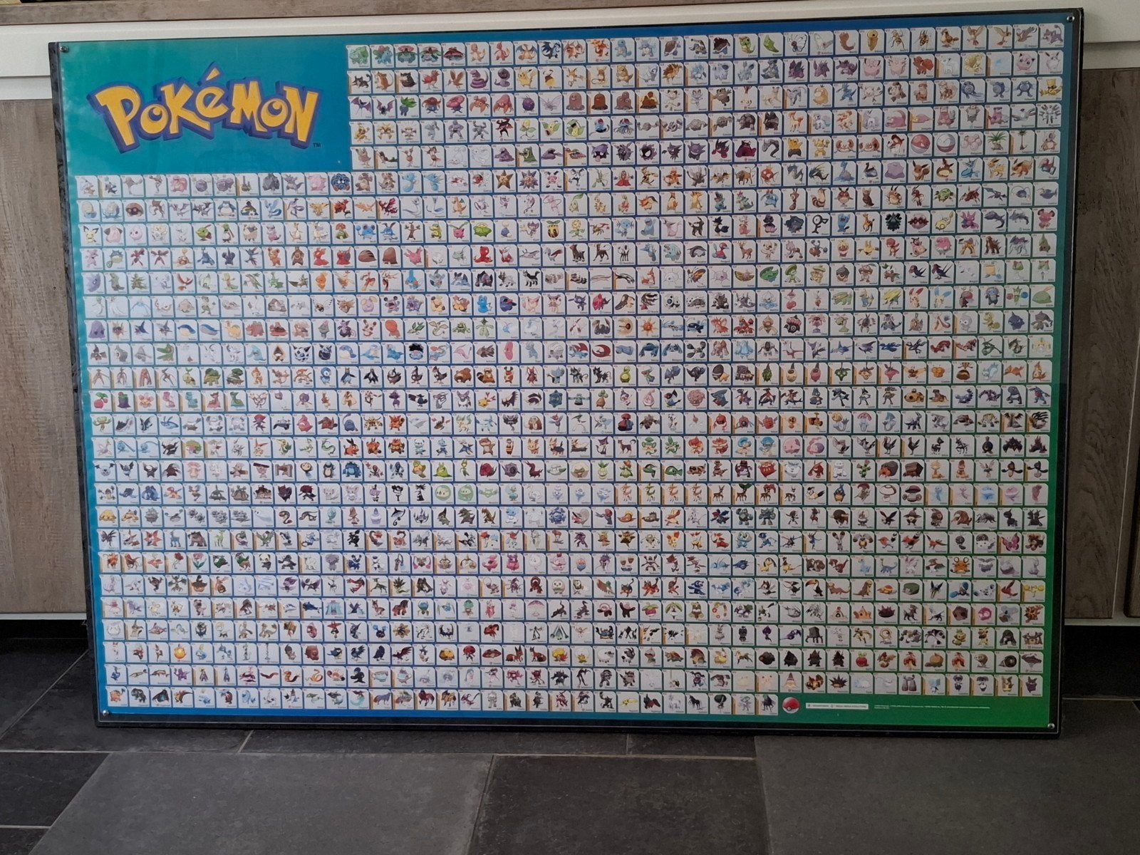 Grote Pokémon Poster met alle Pokémon, Ophalen, Gebruikt, Overige typen
