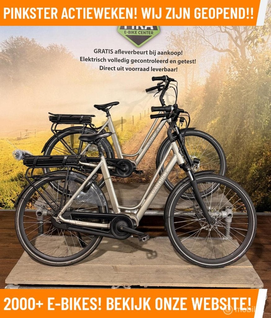 Van Dijck Phaedra Elektrische fiets met Bafang motor ebikes!, Overige merken