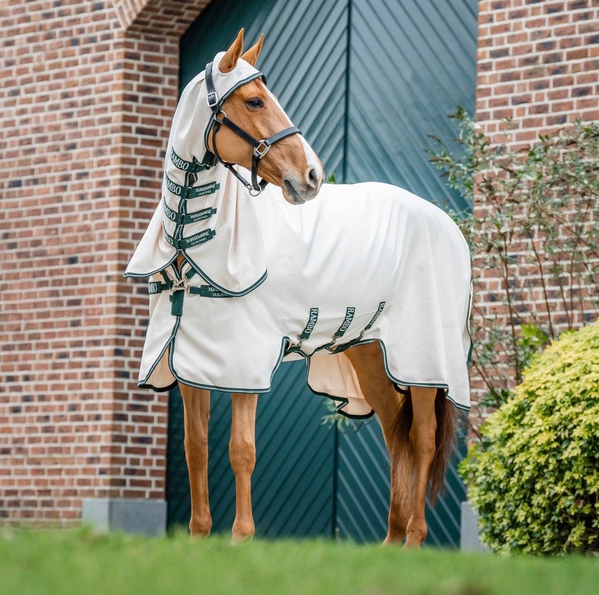 RAMBO HOODY ECZEEMDEKEN MET HALS 6.0/183, Dieren en Toebehoren, Ophalen of Verzenden, Gebruikt, Eczeemdeken, Rambo