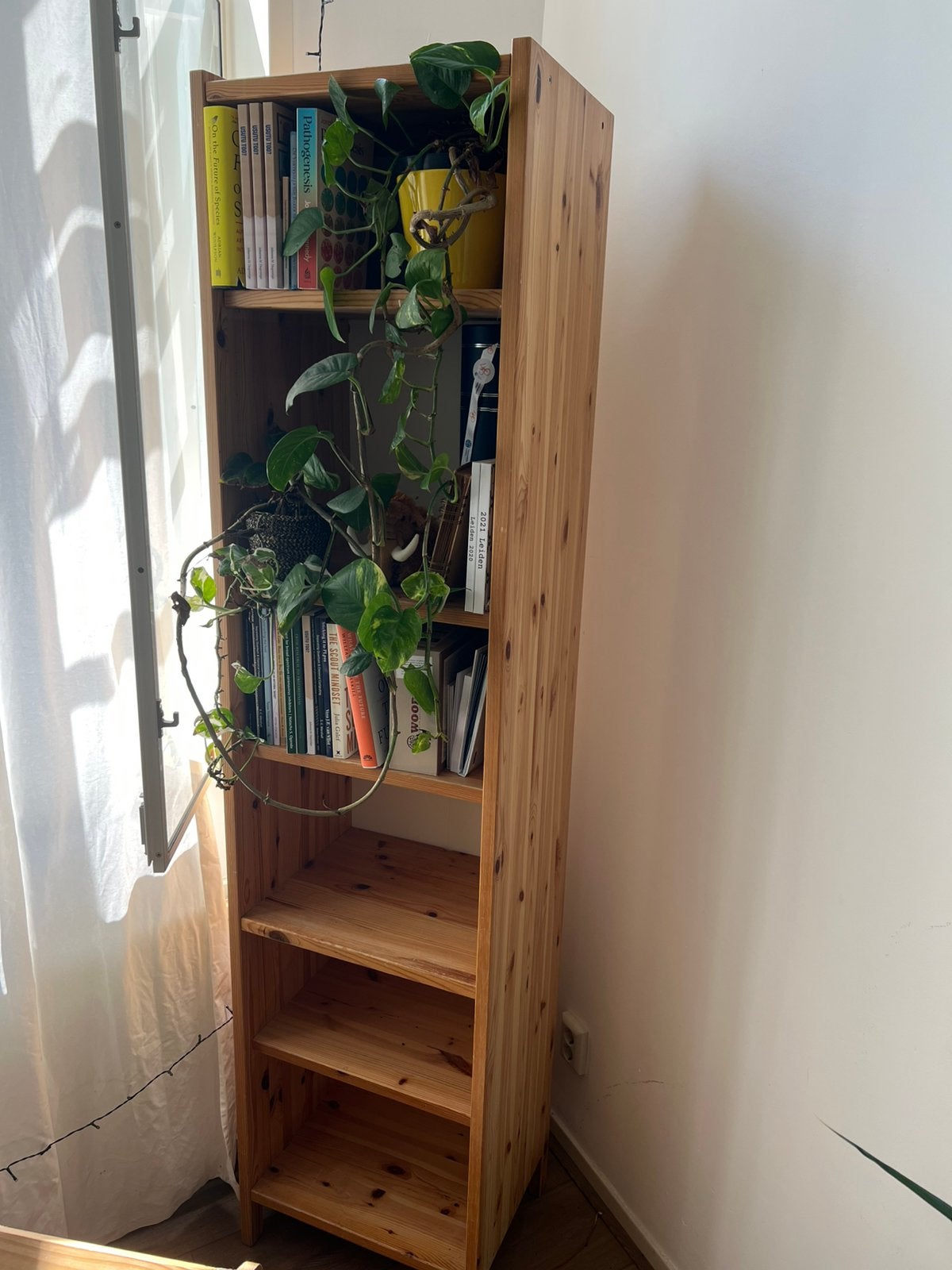 Book shelves - wooden, Ophalen, Zo goed als nieuw