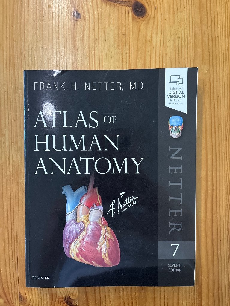 Atlas of Human Anatomy, Zo goed als nieuw, Beta, Elsevier, HBO