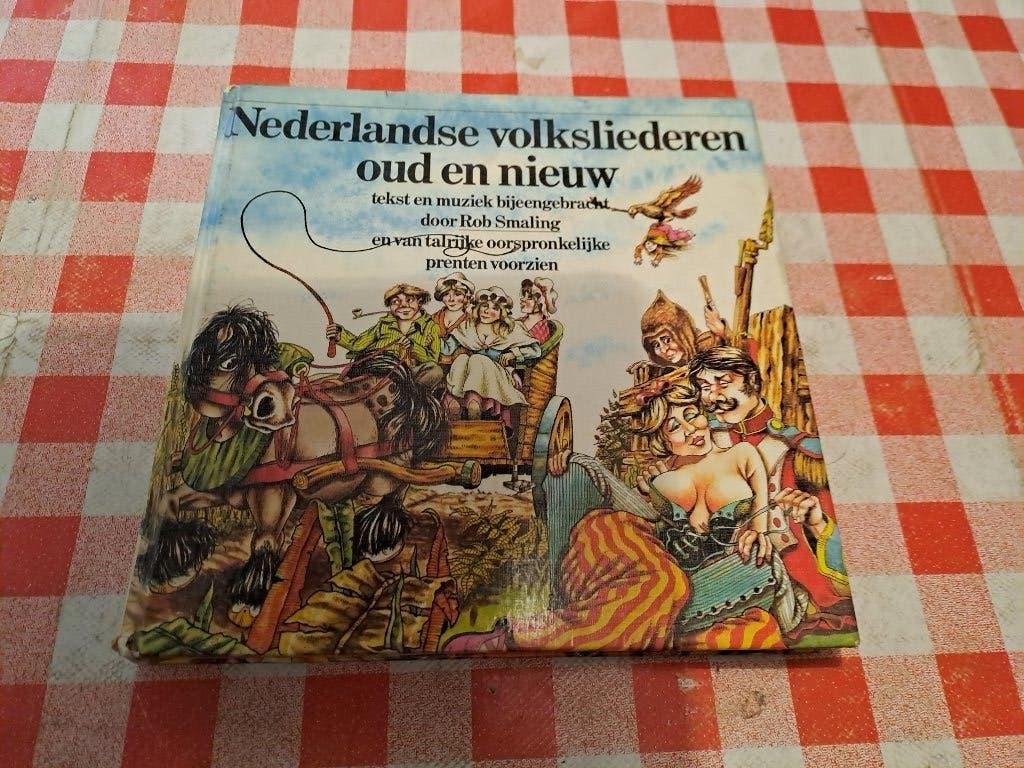 Nederlandse liedjes oud en nieuw, Jongen of Meisje, Ophalen of Verzenden, Zo goed als nieuw, 5 of 6 jaar