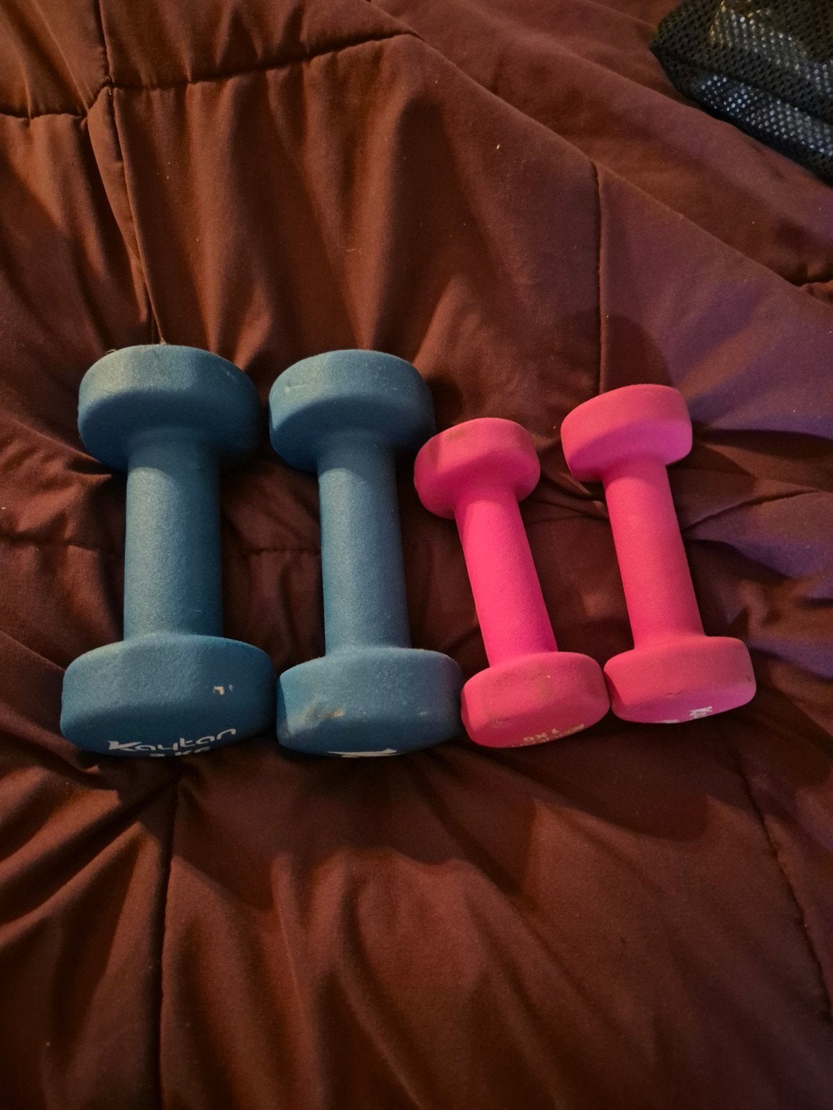 Dumbbells Kaytan 1kg en 3kg, Sport en Fitness, Ophalen of Verzenden, Gebruikt, Benen, Dumbbell