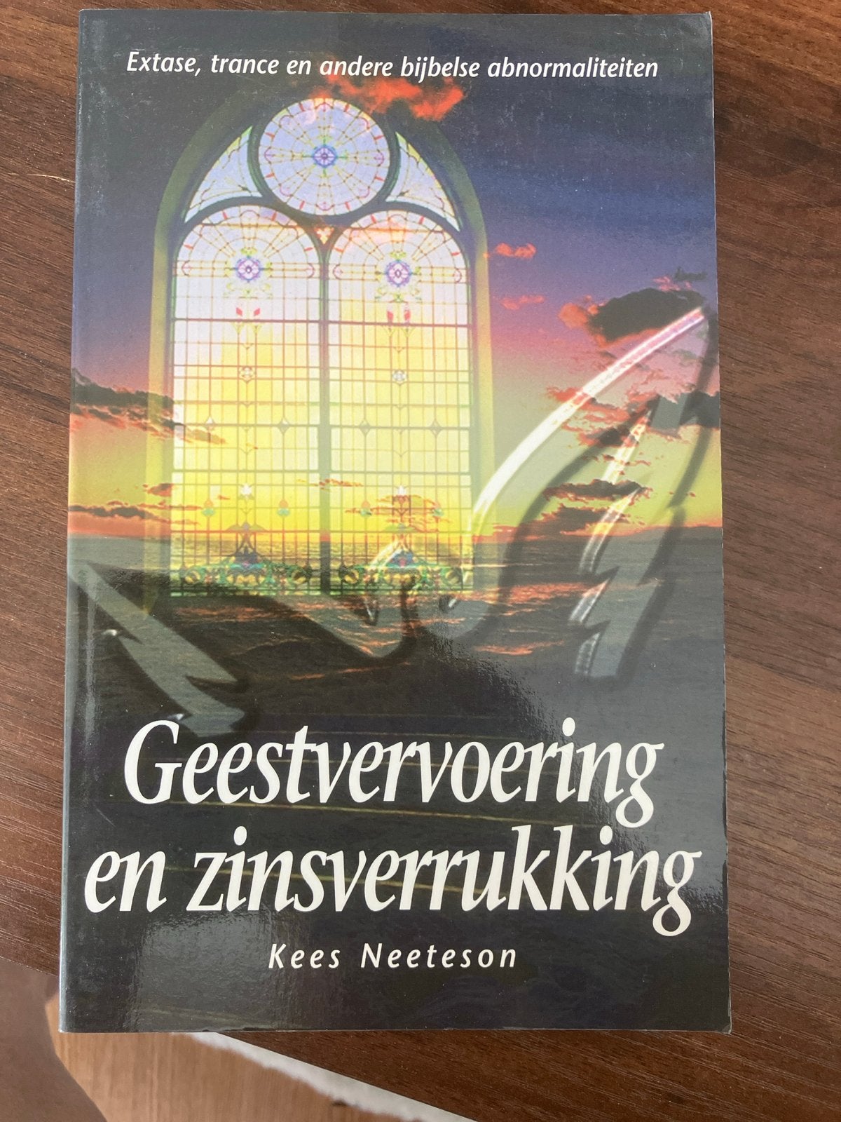 Geestvervoering en zinsverrukking - Kees Neeteson, Boeken, Ophalen of Verzenden, Zo goed als nieuw, Christendom | Protestants