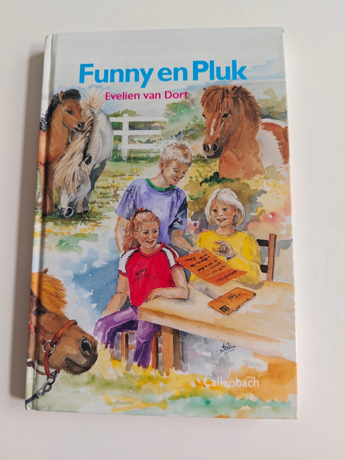 Funny en Pluk - Evelien van Dort (kinderboek), Ophalen of Verzenden, Zo goed als nieuw, Evelien van Dort, Fictie algemeen