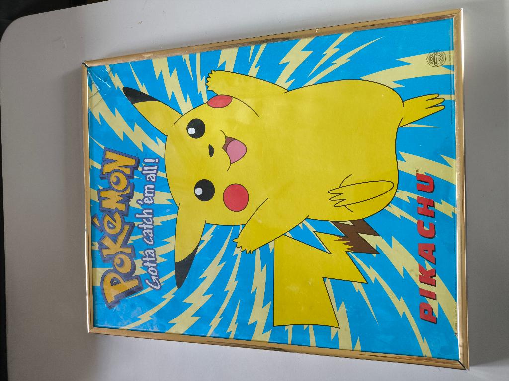 Pickacu lijst, Ophalen, Minder dan 50 cm, Gebruikt, Metaal of Aluminium