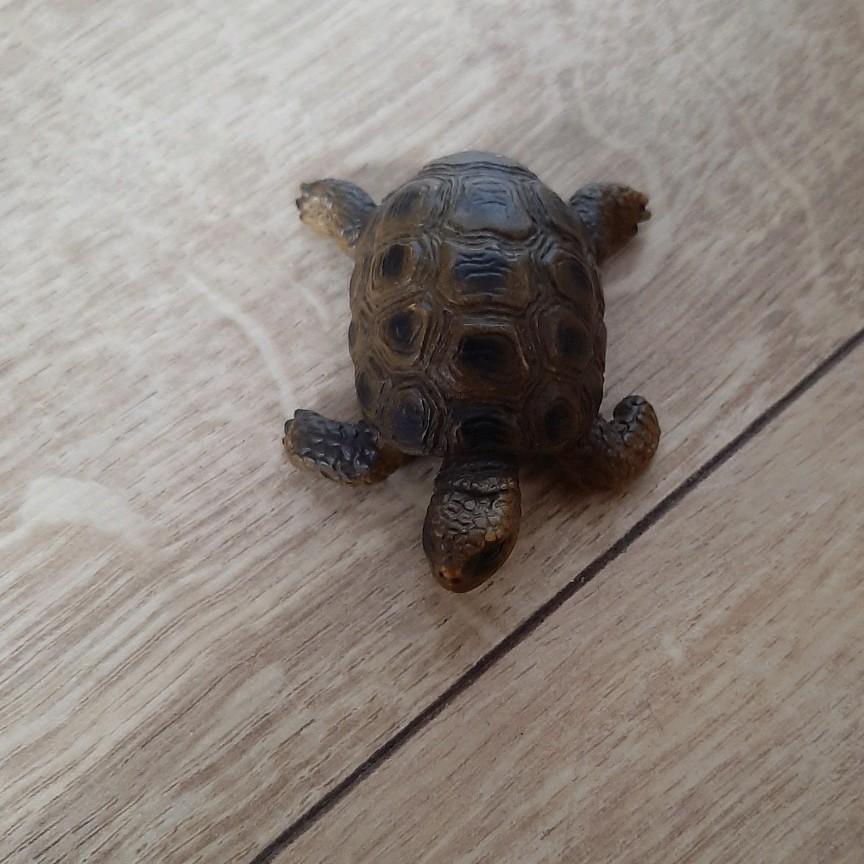 Schleich schildpad 14401, Verzamelen, Dierenverzamelingen, Ophalen of Verzenden, Zo goed als nieuw, Reptiel of Amfibie, Beeldje of Figuurtje