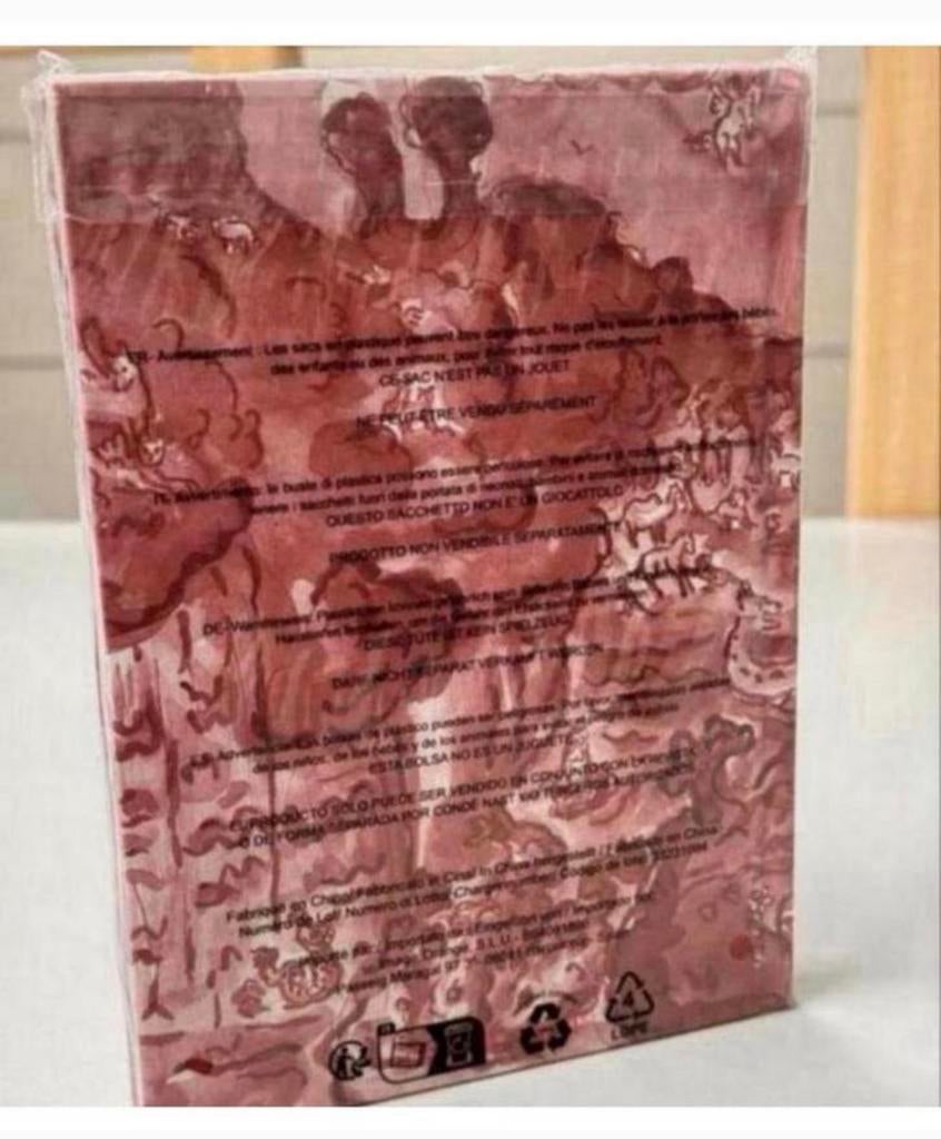 Vogue Agenda 2024 LIMITED Edition by Flaminia Veronesi NIEUW, Nieuw, Ophalen of Verzenden, H, H