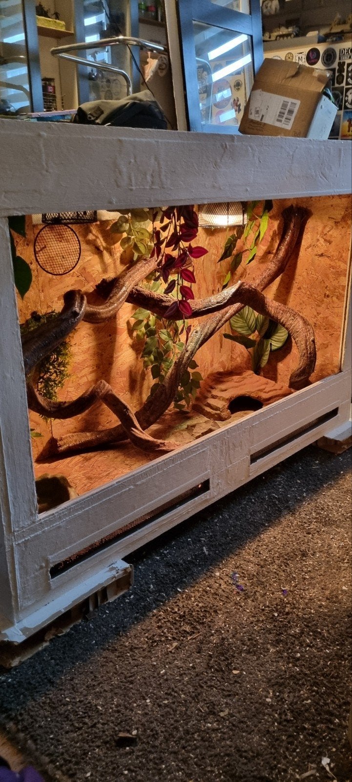 Terrarium 125cm x50 x83 cm, Dieren en Toebehoren, Reptielen en Amfibieën | Toebehoren, Ophalen