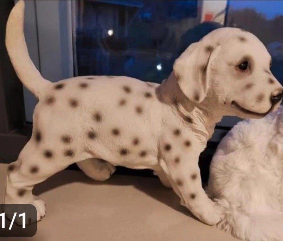 Honden beeldje, Ophalen