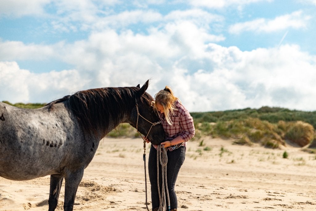 24/7 buitenplek pony gezocht, Dieren en Toebehoren, Weidegang, 1 paard of pony