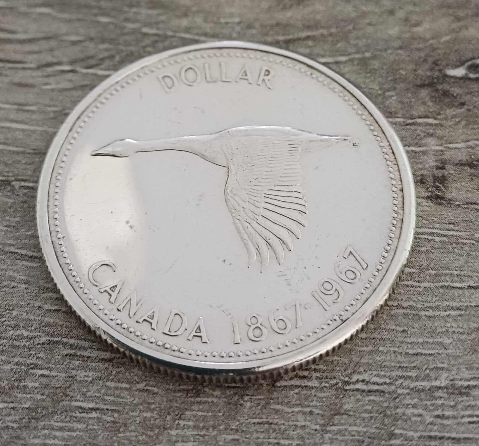 Zilveren 1 dollar munt Canada, Postzegels en Munten, Munten | Amerika, Ophalen of Verzenden, Noord-Amerika, Losse munt, Zilver