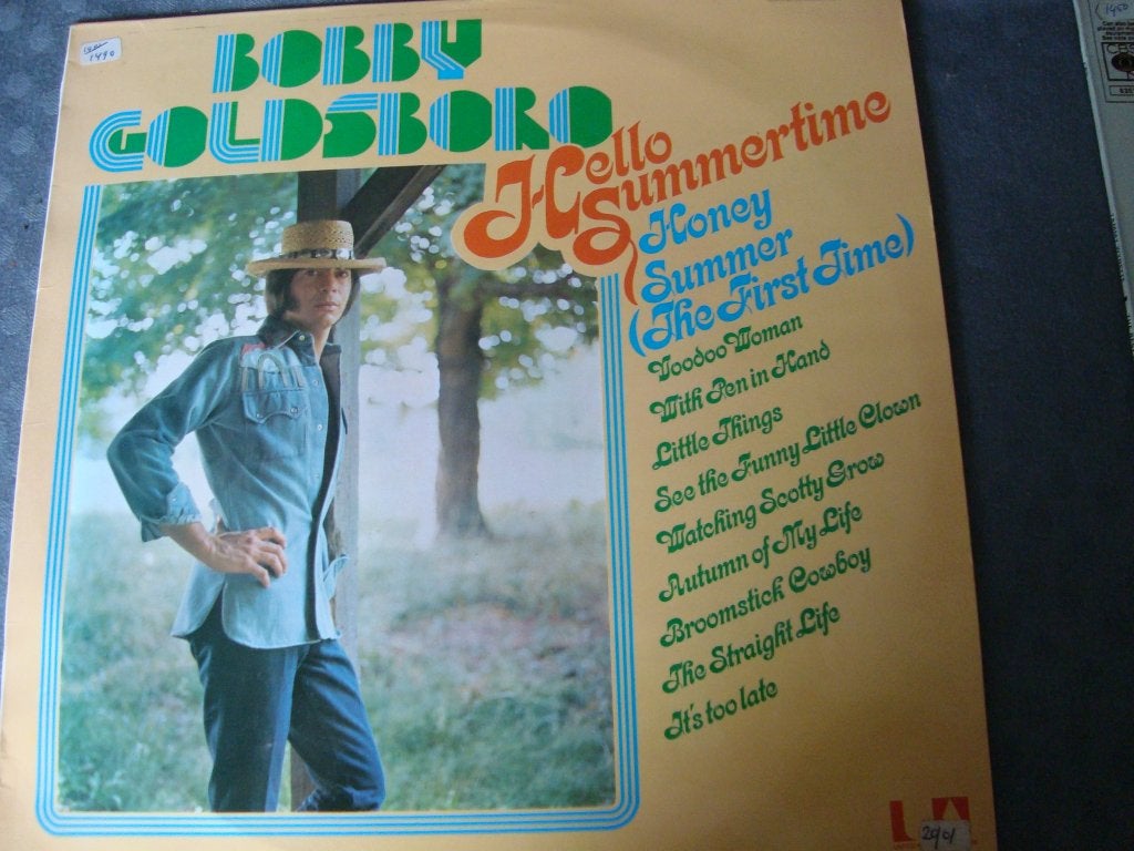 Bobby goldboro hello summertime, Ophalen of Verzenden, Zo goed als nieuw, 12 inch