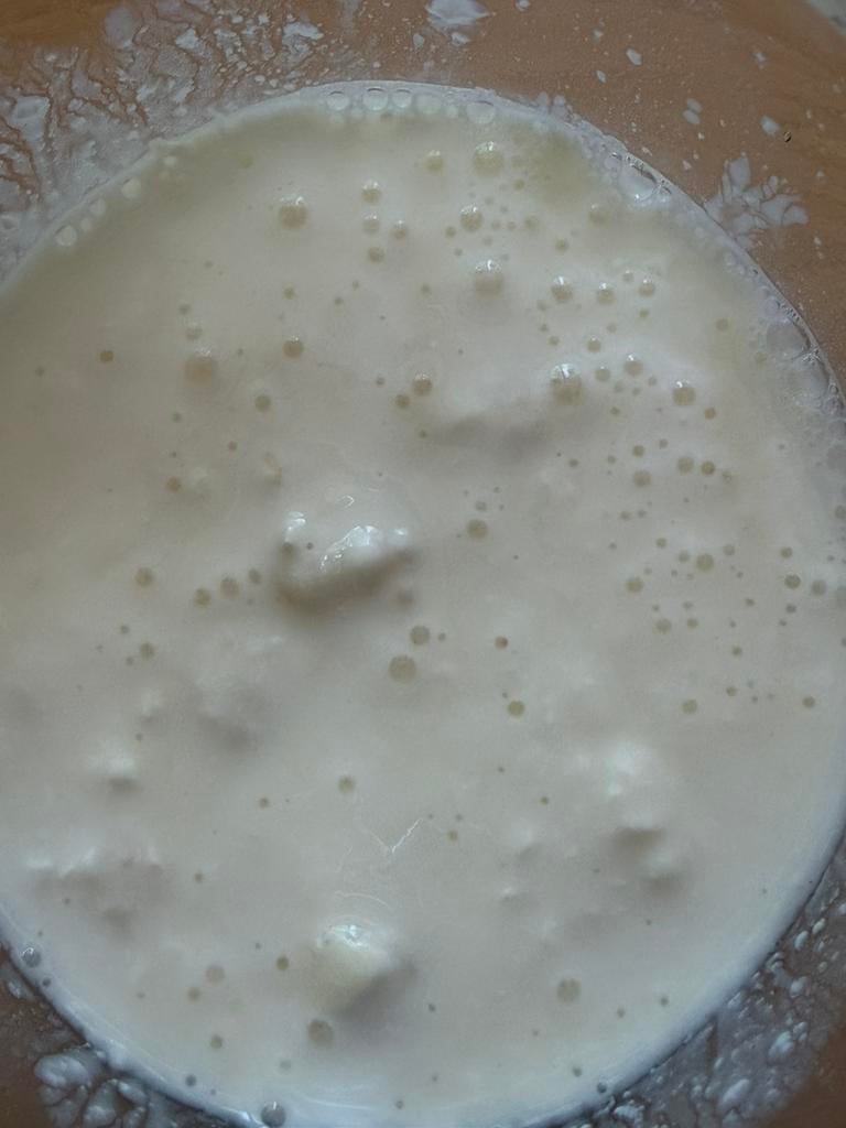 Melk kefir of yoghurt kefir, Diversen, Levensmiddelen, Ophalen