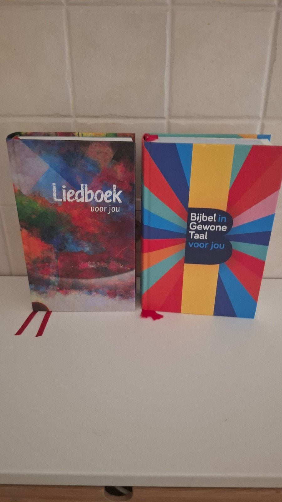 Liedboek en Bijbel in Gewone Taal voor jou, Boeken, Ophalen of Verzenden, Zo goed als nieuw, Diverse auteurs, Christendom | Katholiek