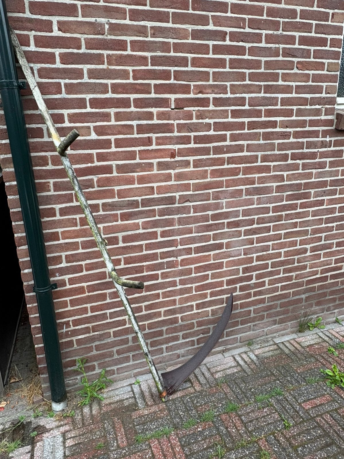 Ouderwetse zeis, Ophalen