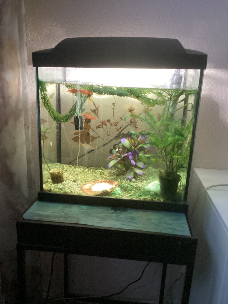 Aquarium, Ophalen, Gebruikt