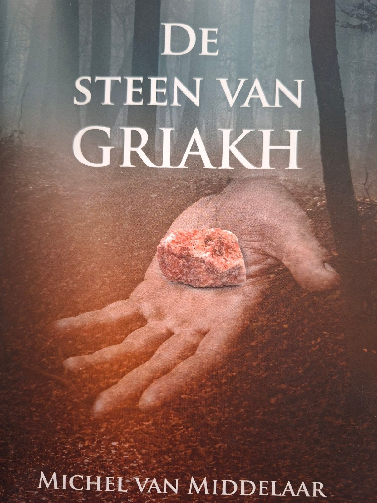 De Steen van Griakh - Michel van Middelaar, Ophalen of Verzenden, Zo goed als nieuw, Michel van Middelaar