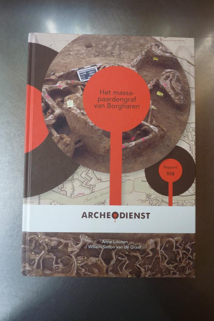 Het massa paardengraf van borgharen Archeodienst Anne Loonen, Boeken, Geschiedenis | Stad en Regio, Zo goed als nieuw, Ophalen of Verzenden