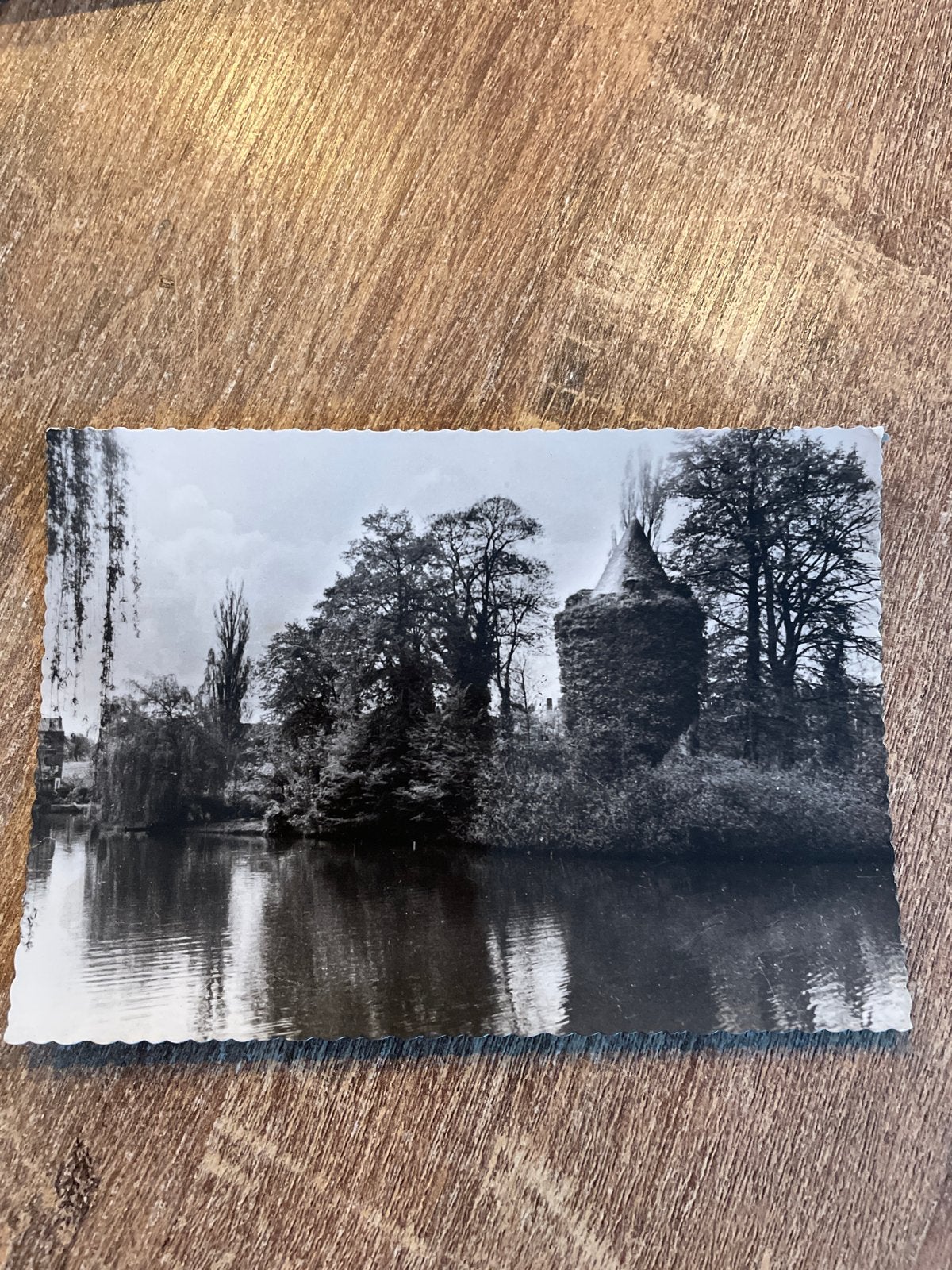 Oude ansichtkaart Dilbeek - St. Alenatoren en vijver, Ophalen of Verzenden, 1940 tot 1960, Gelopen, Vlaams-Brabant