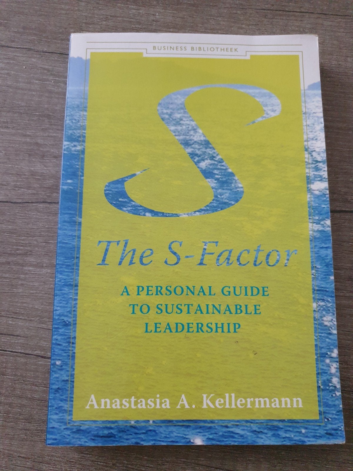 The S-Factor: Persoonlijke gids voor duurzaam leiderschap, Ophalen of Verzenden, Gelezen, Anastasia A. Kellermann