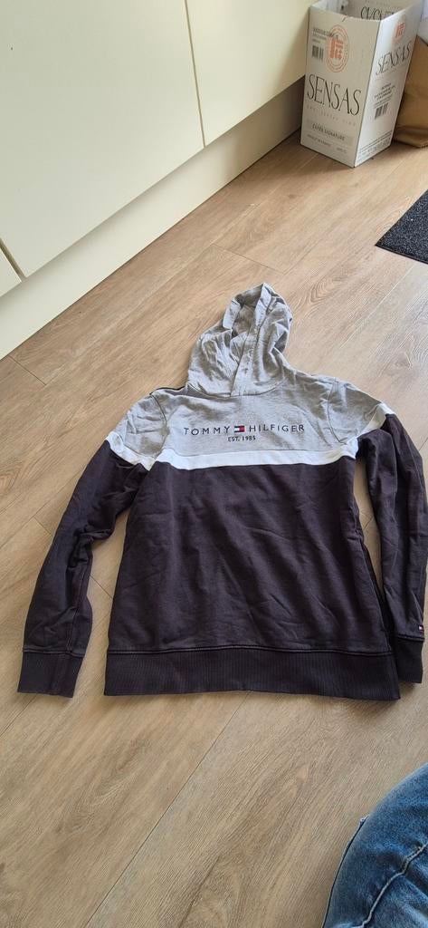 Tommy Hilfiger hoodie maat 164, Kinderen en Baby's, Kinderkleding | Maat 164, Gebruikt, Jongen of Meisje, Trui of Vest, Ophalen of Verzenden