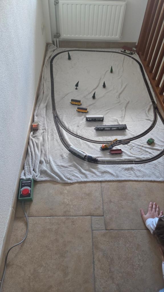 Grote modeltrein set met rails, locomotieven en wagons, Hobby en Vrije tijd, Modeltreinen | H0, Wisselstroom, Fleischmann, Ophalen of Verzenden
